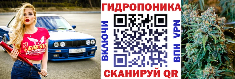 Как найти закладки Шебекино Каннабис  НБОМе  ГЕРОИН  Мефедрон  А ПВП 