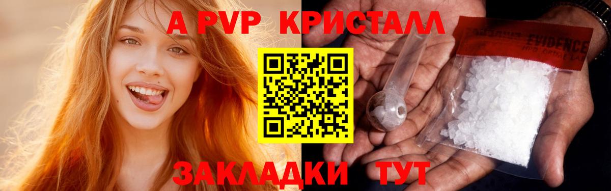 Альфа ПВП СК КРИС Шебекино