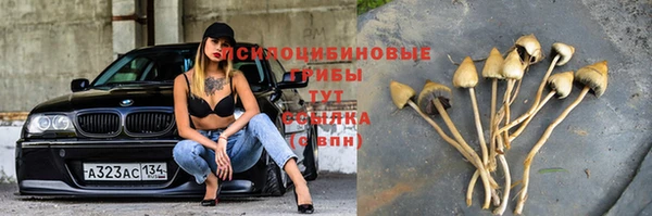 2c-b Абдулино