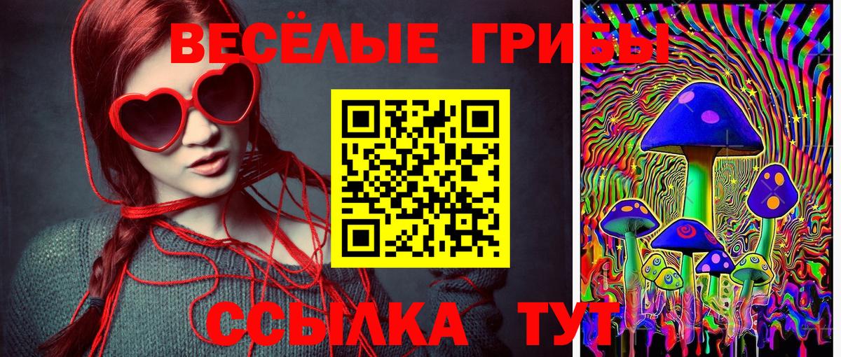 Псилоцибиновые грибы Cubensis  Вход с VPN  Шебекино 